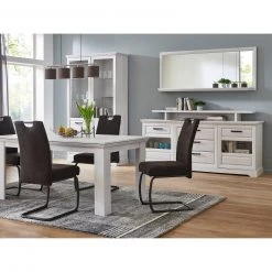 Schwinger - anthrazit - 93 cm hoch -Esszimmer Verkaufsgeschäft 1015062503 08 1600Wx1600H