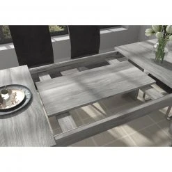 Esstisch TITAN - Rauchsilber - ausziehbar -Esszimmer Verkaufsgeschäft 1331006301 05 1600Wx1600H