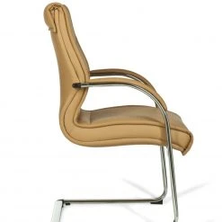 Freischwinger - caramel - Kunstleder -Esszimmer Verkaufsgeschäft 9003495900 04 1600Wx1600H