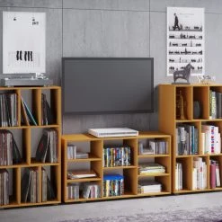 Schallplattenregal SCHALTINO - Buche - 60x115 cm 7 Schallplattenregal SCHALTINO - Buche - 60x115 cm -Esszimmer Verkaufsgeschäft 9004243600 04 1600Wx1600H